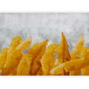 artgeist Fototapeta Banana Leaves, 300x210cm