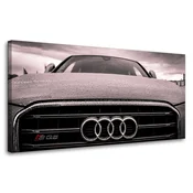 shumee Platno s tiskom Mladinski Audijev avto 80x40