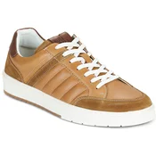 Bullboxer 7VD0010101 Kostanjeva