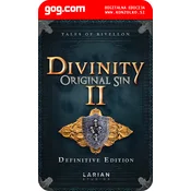 Divinity Original Sin 2 Definitive Edition - GOG.com koda brez škatlice (WINDOWS PC)