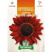 SONČNICE PAQUITO SANGRIA