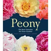 Peony