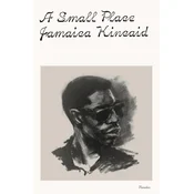 A Small Place