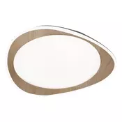 Rabalux 2427 - LED stropna svetilka TAMINO LED/24W/230V