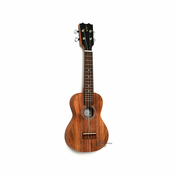 APC BY SCHNEIDER ELECTRIC APC SS SOPRANO UKULELE