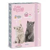 A/4 mapa za zvezke Cute animals-tea party