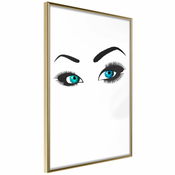 Poster - Piercing Gaze 20x30