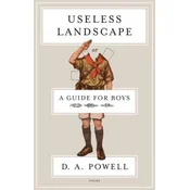 Useless Landscape, or a Guide for Boys
