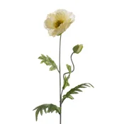 Umetni mak 70 cm krem barve - krem - 50 do 75 cm