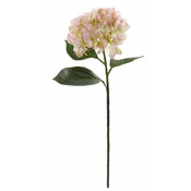 Shishi Hortenzija rumeno-roza 70 cm