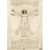 BLUEBIRD Puzzle Vitruvian Man 1000 kosov Leonardo Da Vinci