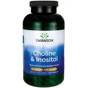 Holin in inozitol - 250 kapsul