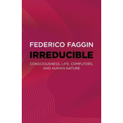 Irreducible - Consciousness, Life, Computers, and Human Nature