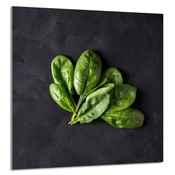 shumee STEKLENA PLOŠČA ZA KUHINJO 60x65 Bazilika