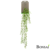 umetna plezalka MINI voščenka Hoya 90cm - zelena - 76 do 100 cm