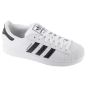 adidas  Superstar Ii  pisana