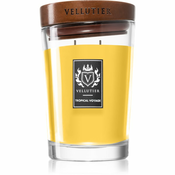 Vellutier Tropical Voyage dišeča sveča 515 g