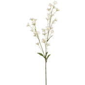 Ranunkula 85 cm krem
