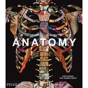 Anatomy, Exploring the Human Body