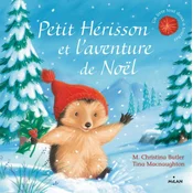 Petit Hérisson et laventure de Noël (tout-carton)