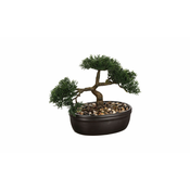 Biljka u saksiji Bonsai 23cm