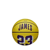 Wilson lopta NBA Player Icon Mini Bsk Lebron new unisex
