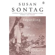 Regarding the Pain of Others