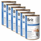 Brit Veterinary Diets GF cat + dog Recovery salmon 6 x 400 g
