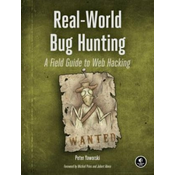 Real-world Bug Hunting