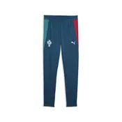 PUMA Portugal Training Pants Youth, Football, Ocean Tropic/Silver Mist, 13-14Y