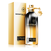 Montale Spicy Aoud Parfumirana voda 100ml