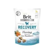Brit Care Dog Recovery&Herring - Pasji priboljšek - 150 g