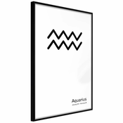 Poster - Zodiac: Aquarius II 20x30