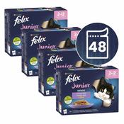 Felix Fantastic Junior delicious selection 48 x 85 g