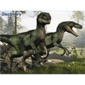3D puzzle - Velociraptor 100 kom
