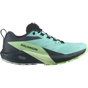 Trail tenisice Salomon SENSE RIDE 5 GTX W