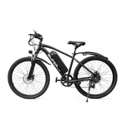 TOOFLY TOOFLY G73 250W električno kolo, 26”, 48V 13Ah odstranljiva baterija, črno, (5000255639)