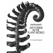 Art Forms in the Plant World