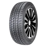 Double Star DW02 ( 245/55 R19 103T)