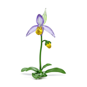 Dekorativna figura Swarovski FLORERE 12,3 x 10,7 x 17,6 cm