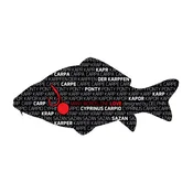 Nalepka Delphin Carp Words
