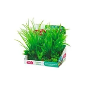 Akvarijske rastline PLANTKIT 1 komplet M Zolux