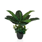 MID.YOU Umetna Rastlina Diefenbachia