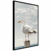 Poster - Curious Seagull 30x45