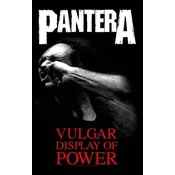 Pantera Vulgar Display Of Power Zastava