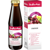 Dr. Steinberger, Plus sok Energie tonik, 450 ml