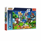 Puzzle 160 Sonic