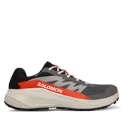 Salomon Tekaški čevlji Alphaglide Gore-Tex L47975300 Siva