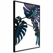 Poster - Evergreen Monstera 40x60