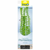 Tetra biljka za akvarijum Ambulia 15cm